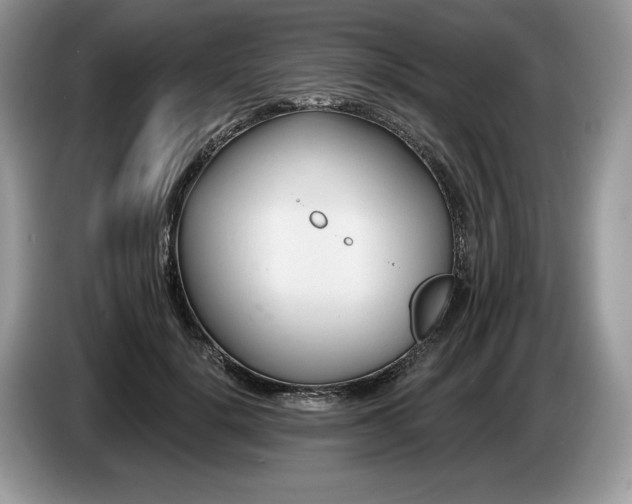 X0000087550652200704271209