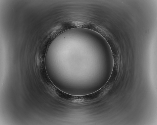X0000087550653200704271209