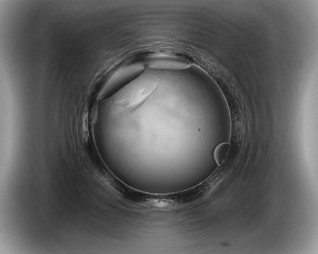 X0000087550654200704271209