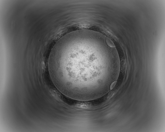 X0000087550655200704271209