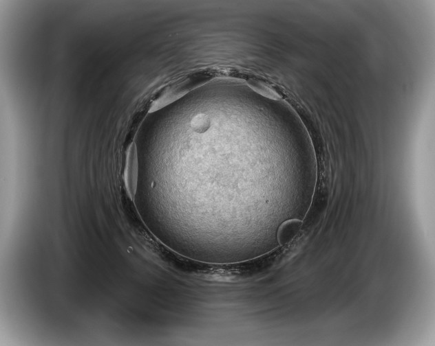 X0000087550656200704271209