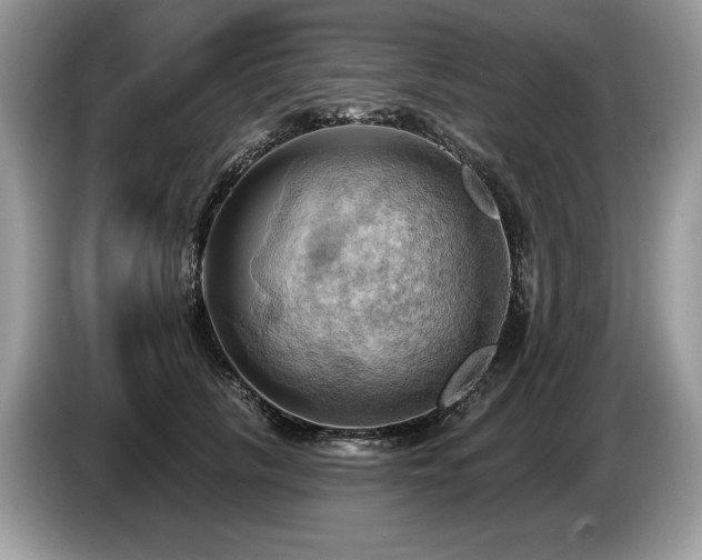 X0000087550657200704271209