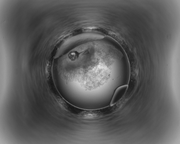 X0000087550658200704271209
