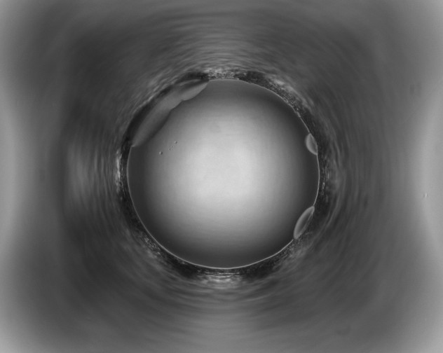 X0000087550659200704271209