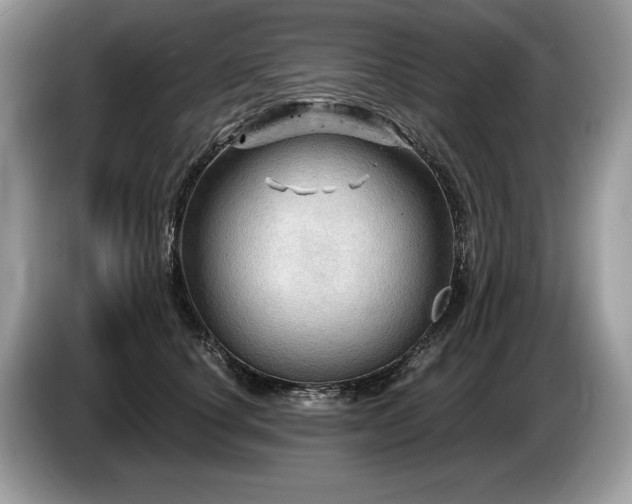 X0000087550660200704271209