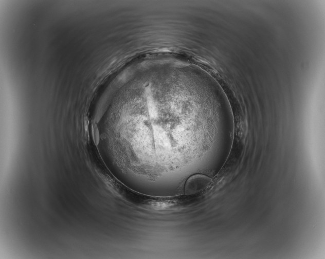 X0000087550662200704271209