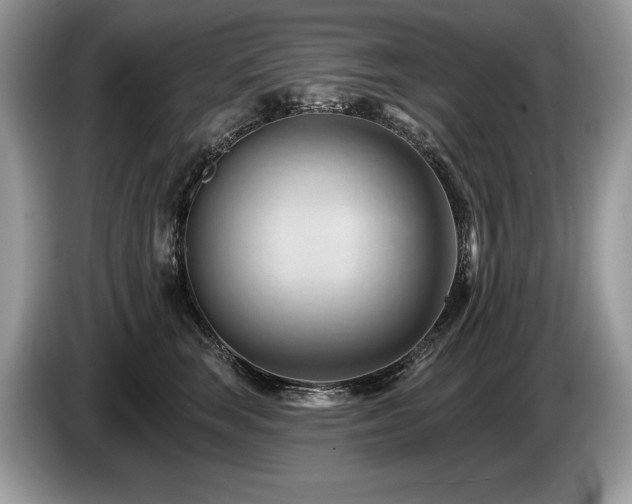 X0000087550663200704271209