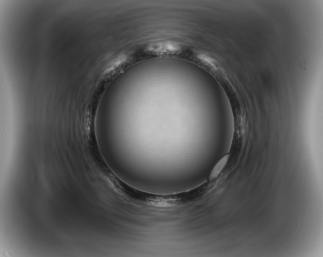 X0000087550664200704271209