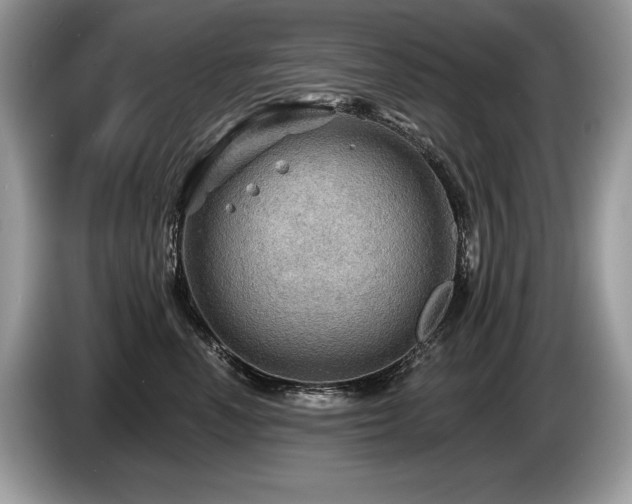 X0000087550666200704271209