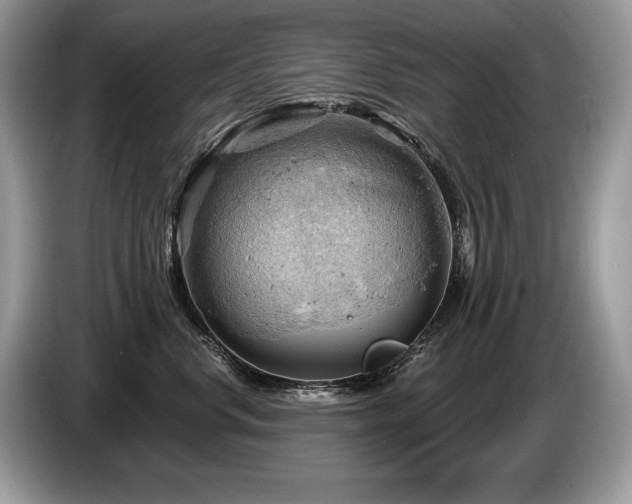 X0000087550668200704271209