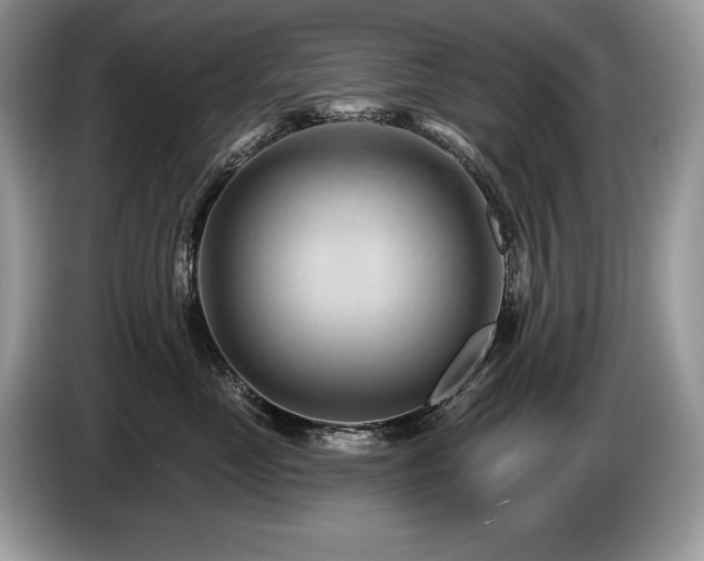 X0000087550669200704271209