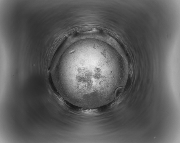 X0000087550670200704271209