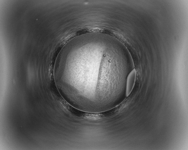 X0000087550671200704271209