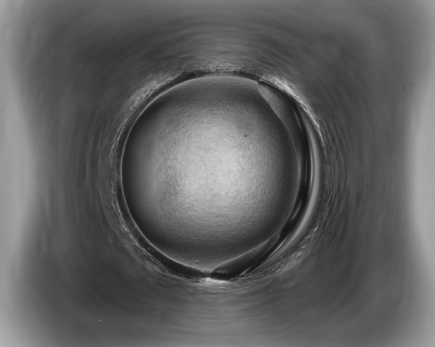 X0000087550673200704271209