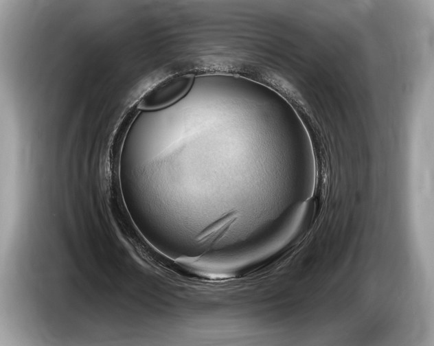 X0000087550674200704271209