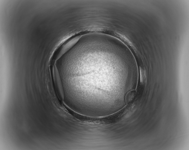 X0000087550675200704271209
