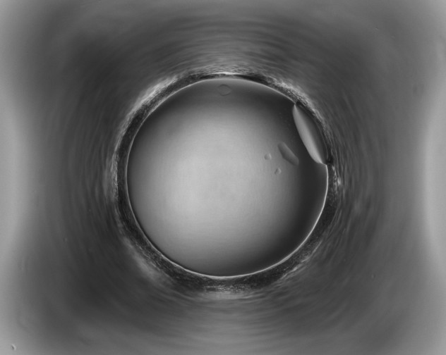 X0000087550678200704271209