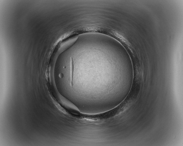 X0000087550681200704271209