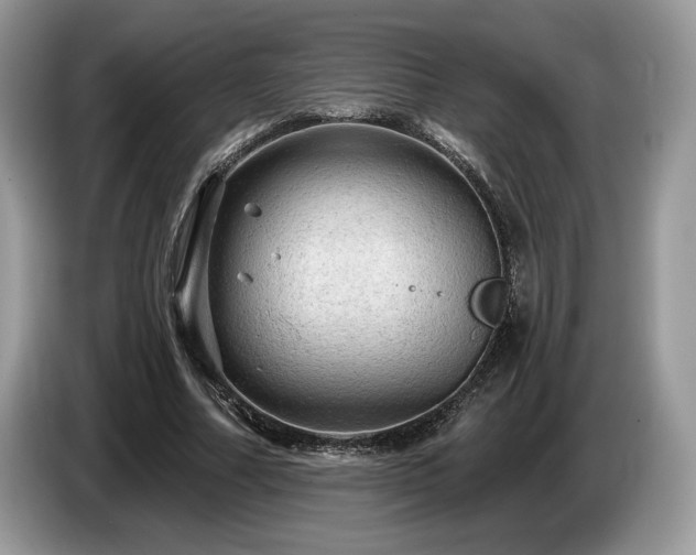 X0000087550682200704271209