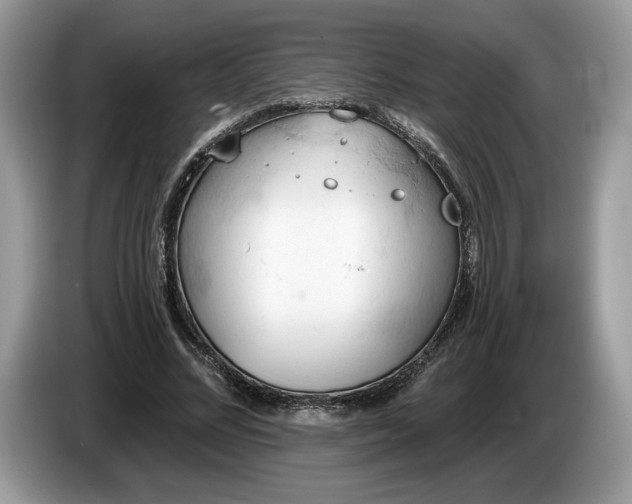 X0000087550684200704271209