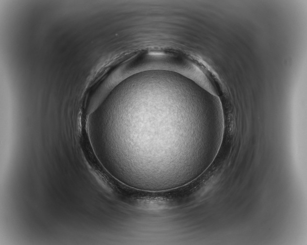 X0000087550685200704271209