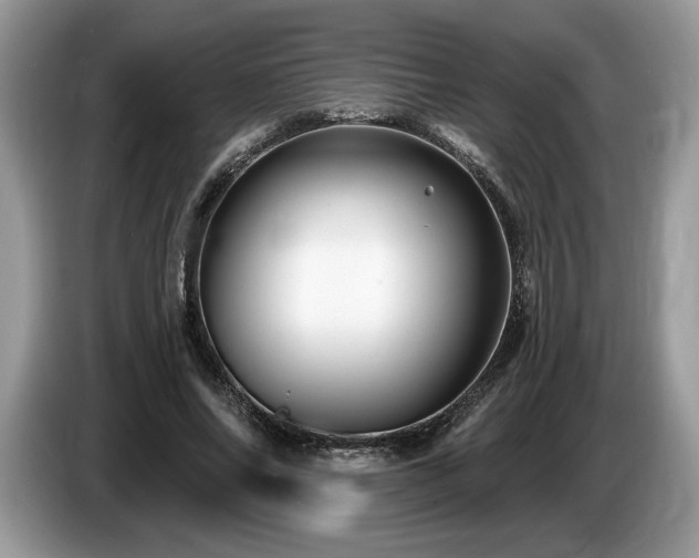 X0000087550686200704271209