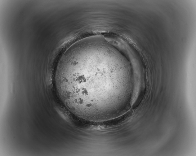 X0000087550687200704271209