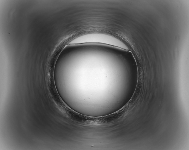X0000087550688200704271208