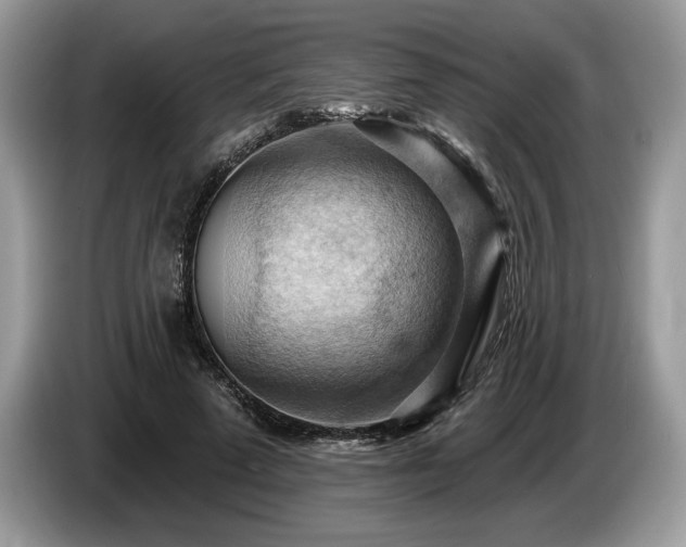 X0000087550689200704271208