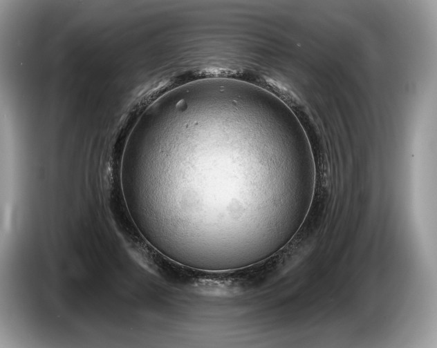 X0000087550690200704271208