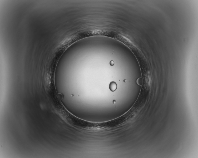 X0000087550691200704271208