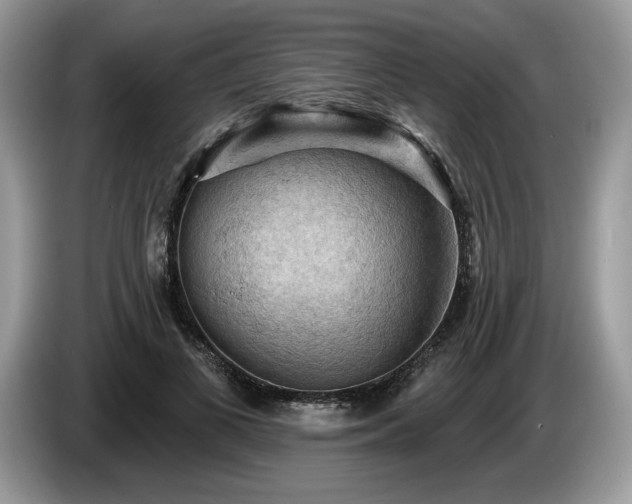 X0000087550693200704271208
