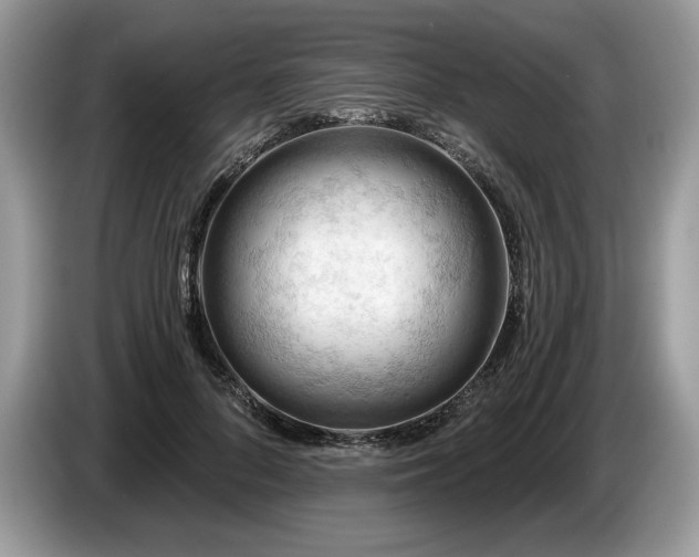 X0000087550696200704271208