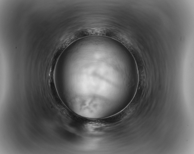 X0000087550699200704271208