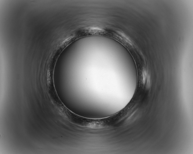 X0000087550700200704271208