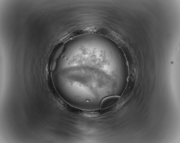 X0000087550707200704271208
