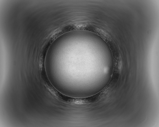 X0000087550710200704271208