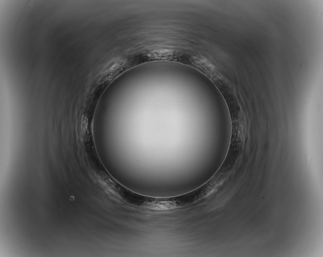 X0000087550711200704271208