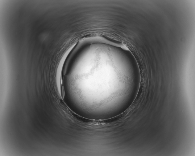X0000087550712200704271208