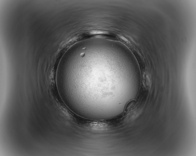 X0000087550714200704271208