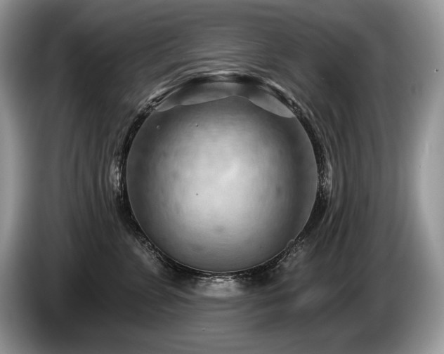 X0000087550715200704271208