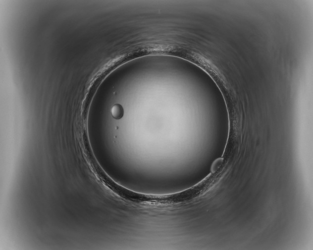 X0000087550721200704271208