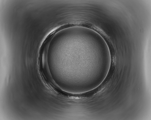 X0000087550724200704271208