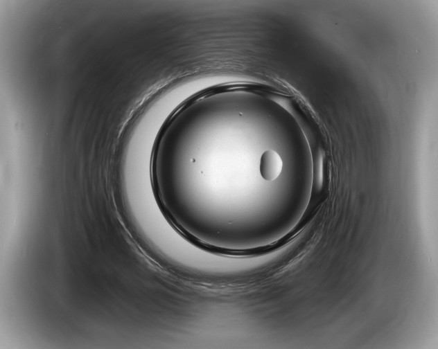 X0000087550725200704271208
