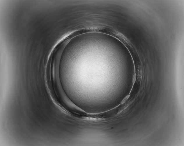X0000087550726200704271208