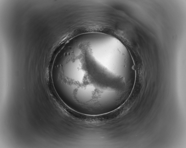 X0000087550729200704271208