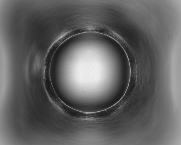 X0000087550730200704271208