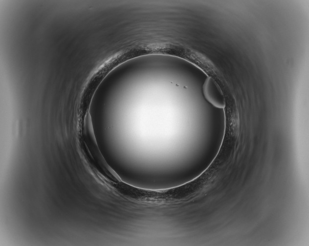 X0000087550732200704271208