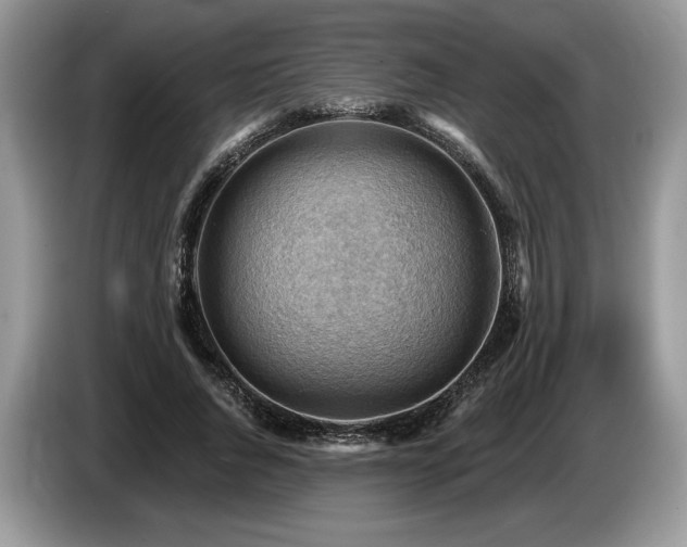 X0000087550736200704271208