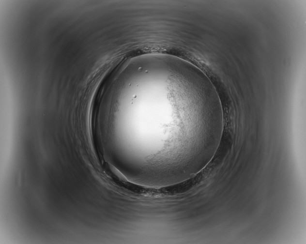 X0000087550742200704271208